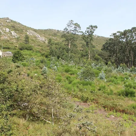 Alen De Louro - 7 Mar De Lira Gándara